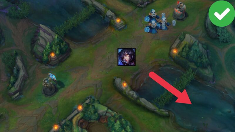 Mid Roam