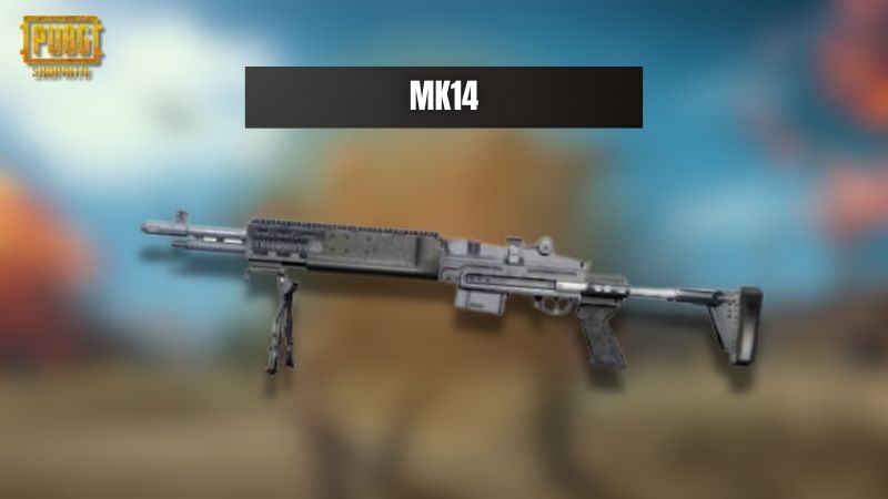 MK14 - "DMR Lai AR" MK14 - "DMR Lai AR"
